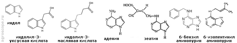 химическая структура ауксинов и цитокининов